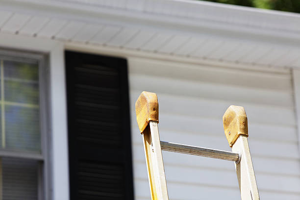 Best Custom Siding Design  in Muskegon Heights, MI